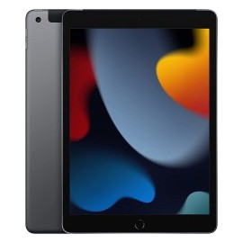 Apple iPad 9 Pantalla Retina de 10.2 Pulgadas Wi-Fi + Celular 256GB Color Gris Espacial